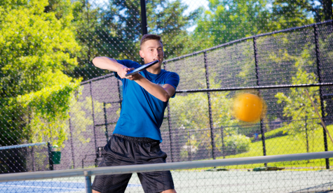 PPP pickle ball image